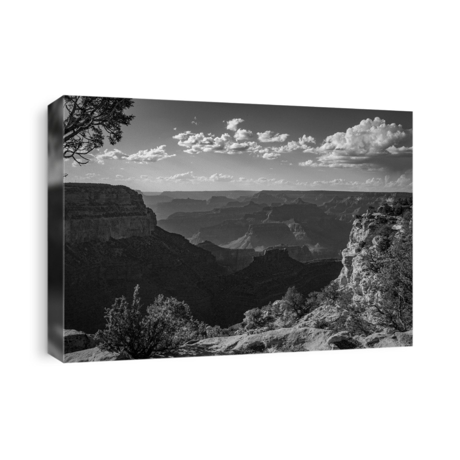 black and white landscape image of the grand canyon south rim arizona